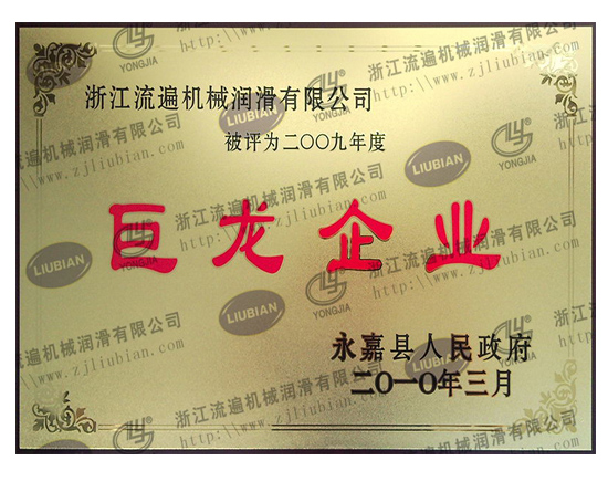 曾獲得2009年巨龍企業(yè)